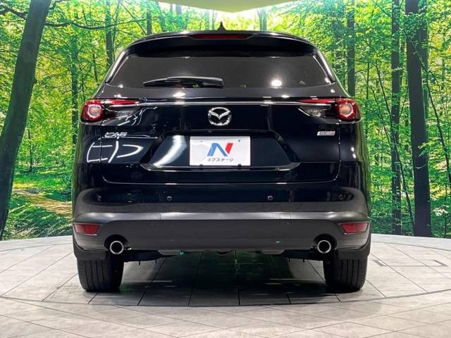 Mazda CX-8 2018-10 195669-15