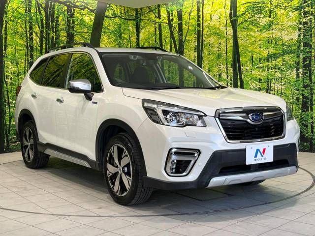 Subaru FORESTER 2019-05 18776-16