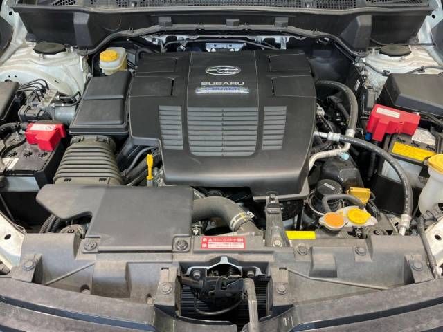 Subaru FORESTER 2019-05 18776-18