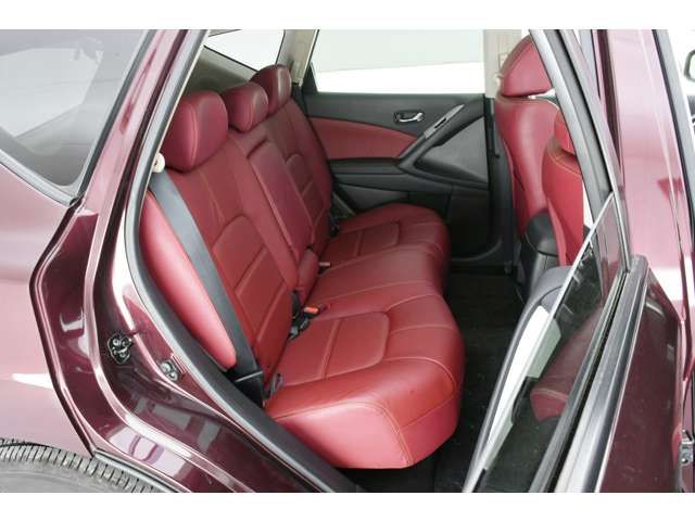 Nissan MURANO 2013-06 22888-13