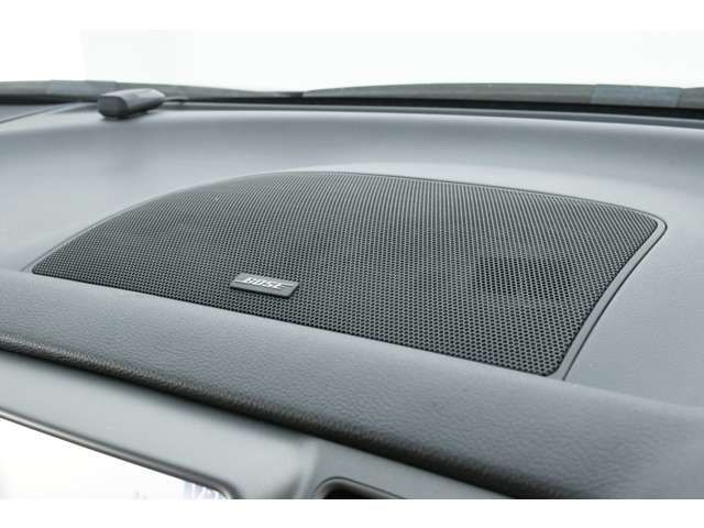 Nissan MURANO 2013-06 22888-16