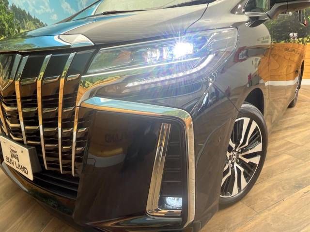 Toyota ALPHARD 2021-01 9533-15