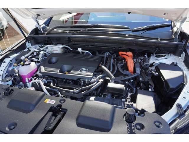Lexus NX 2022-01 15699-16