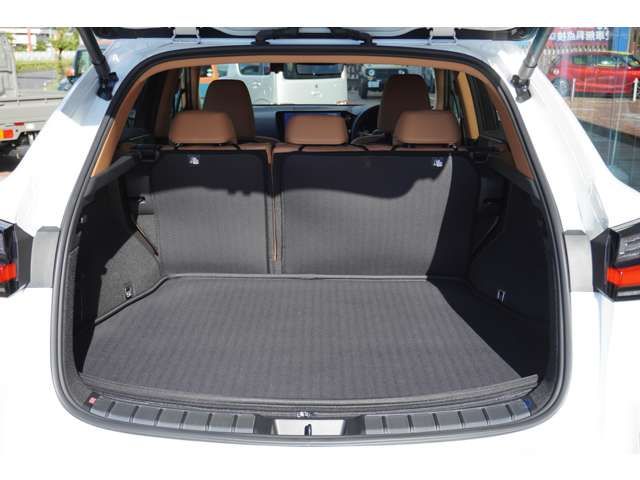 Lexus NX 2022-01 15699-7