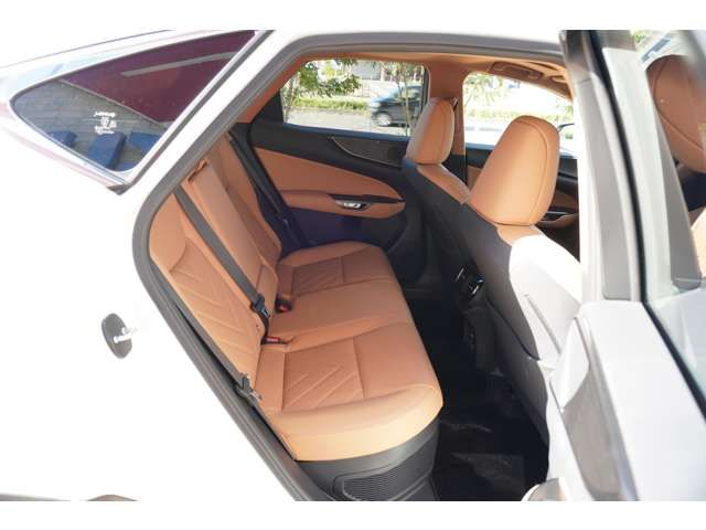 Lexus NX 2022-01 15699-6