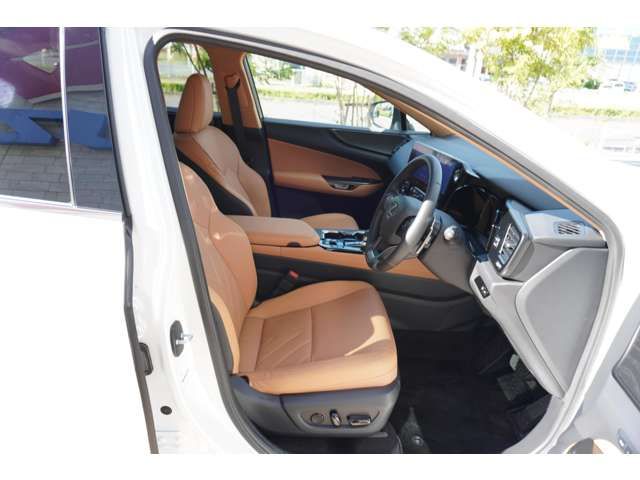 Lexus NX 2022-01 15699-5