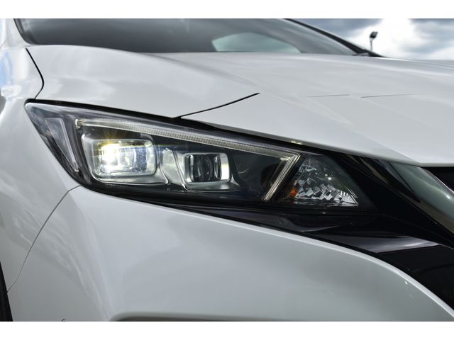Nissan LEAF 2019-12 18506-19