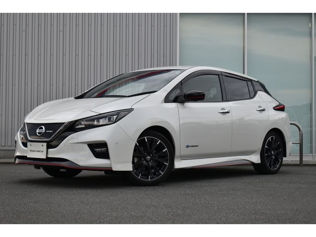 Nissan LEAF 2019-12 18506-0