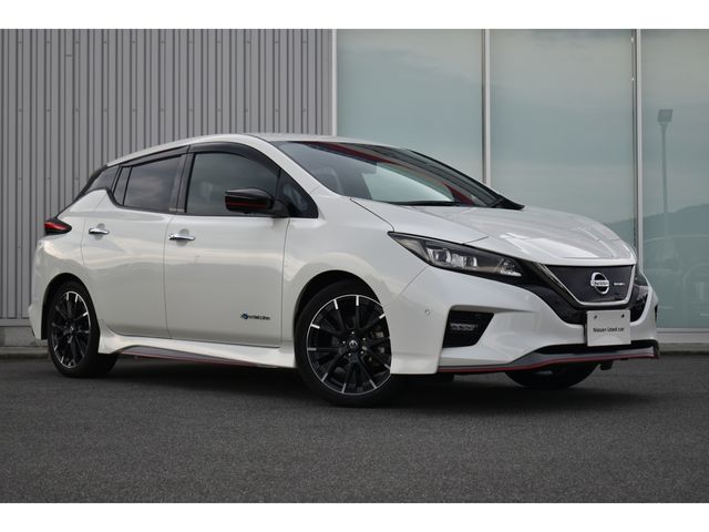 Nissan LEAF 2019-12 18506-22