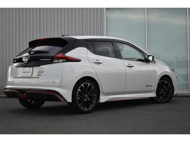 Nissan LEAF 2019-12 18506-1