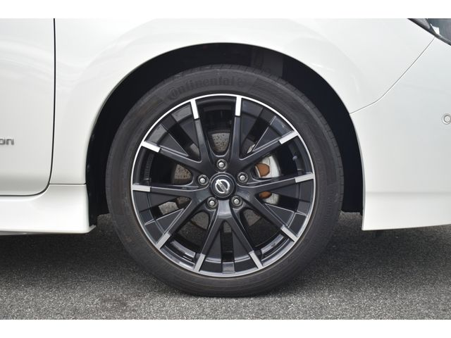 Nissan LEAF 2019-12 18506-21