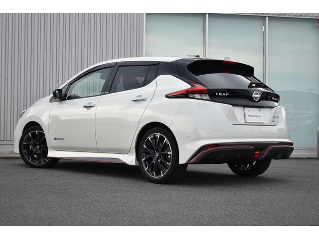 Nissan LEAF 2019-12 18506-23