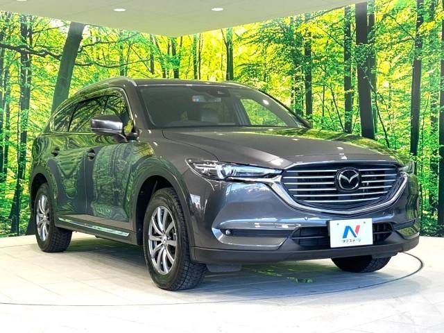 Mazda CX-8 2018-01 192543-17