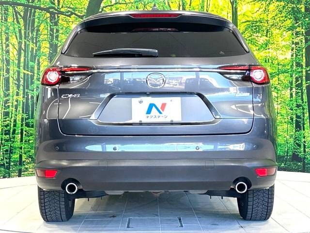 Mazda CX-8 2018-01 192543-16