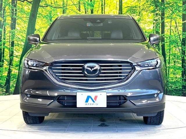 Mazda CX-8 2018-01 192543-15