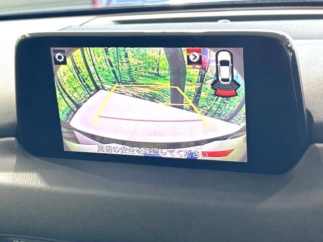 Mazda CX-8 2018-01 192543-3