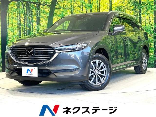 Mazda CX-8 2018-01 192543-0