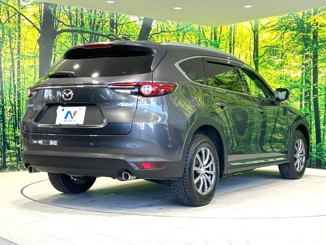 Mazda CX-8 2018-01 192543-18