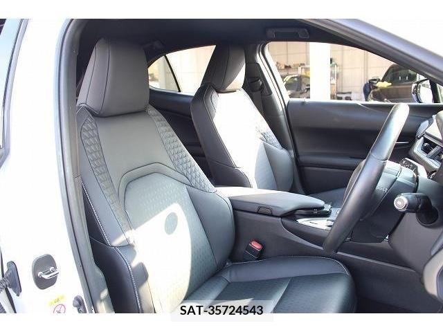Lexus UX 2019-06 354353-13