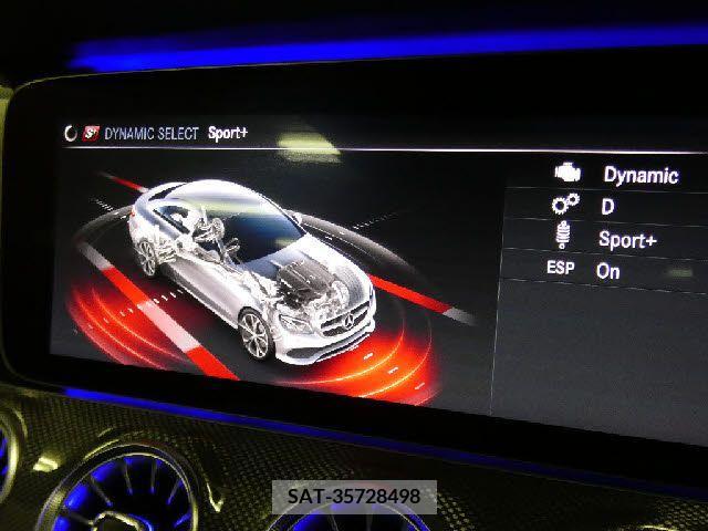 Amg E-CLASS 2019-02 291491-25