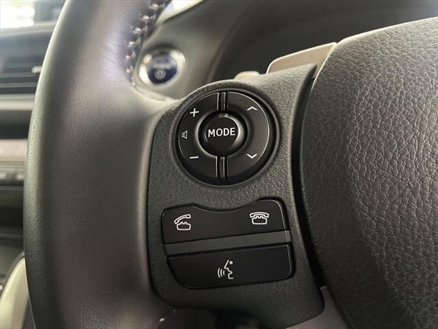 Lexus CT 2014-01 195066-29