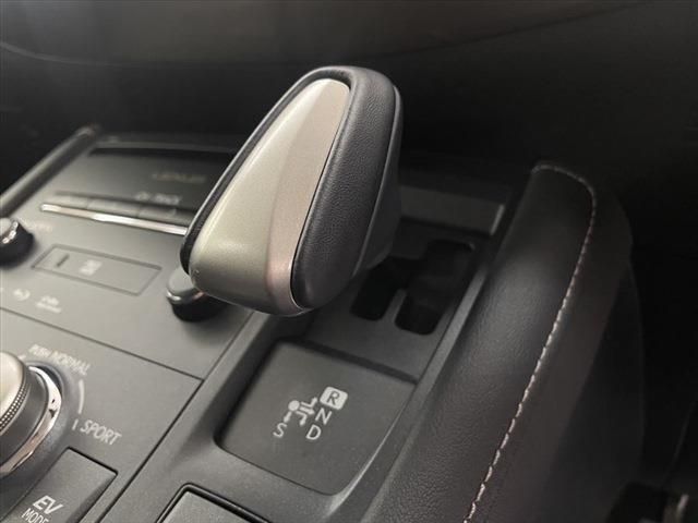 Lexus CT 2014-01 195066-25