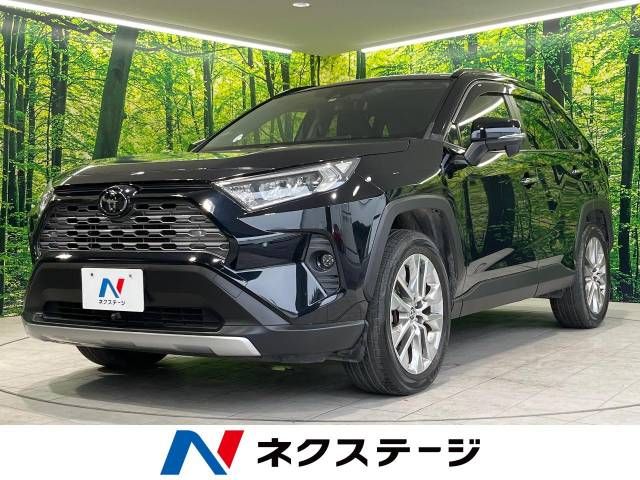 Toyota RAV4 2019-06 4434-0