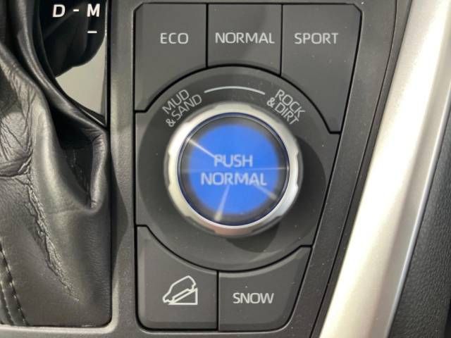 Toyota RAV4 2019-06 4434-7