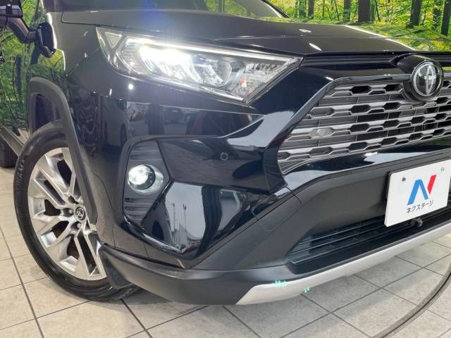 Toyota RAV4 2019-06 4434-12