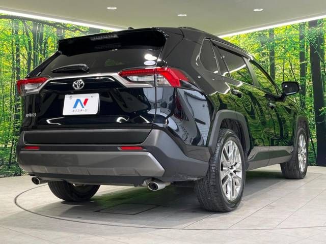 Toyota RAV4 2019-06 4434-17