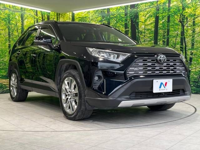 Toyota RAV4 2019-06 4434-16