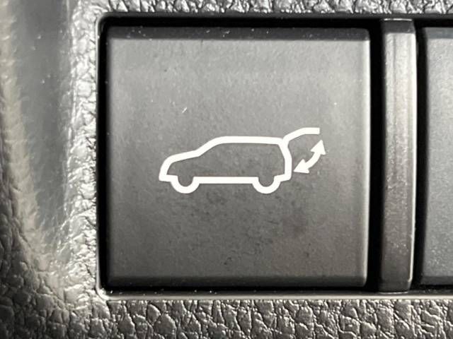 Toyota RAV4 2019-06 4434-5