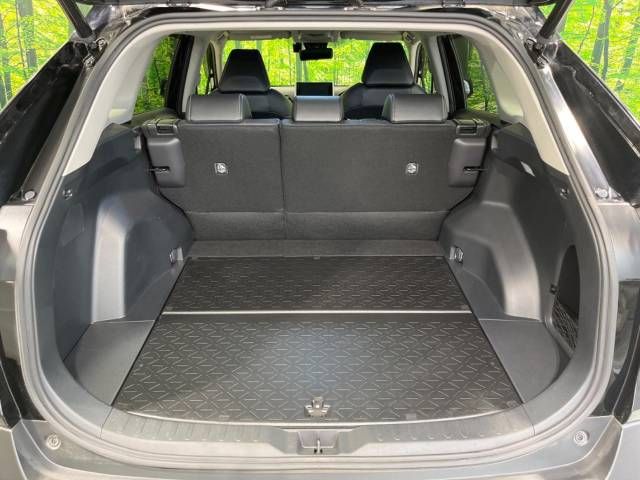 Toyota RAV4 2019-06 4434-10