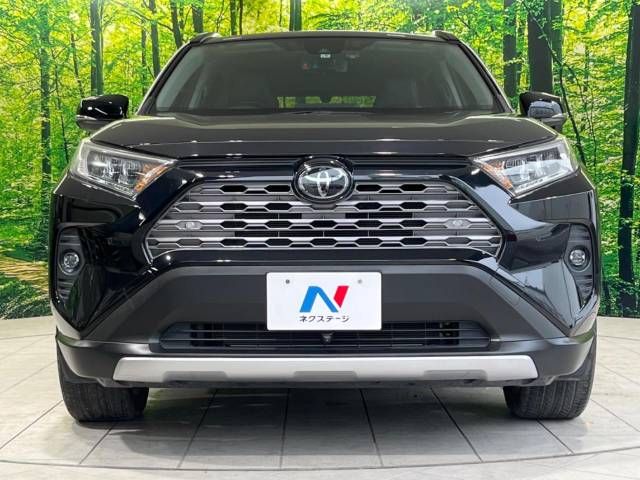 Toyota RAV4 2019-06 4434-14