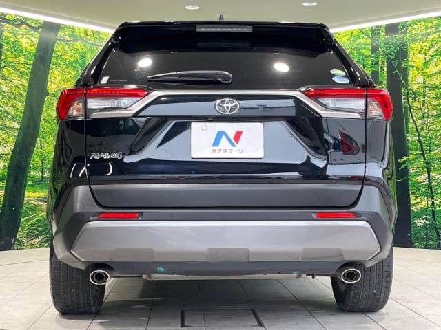 Toyota RAV4 2019-06 4434-15