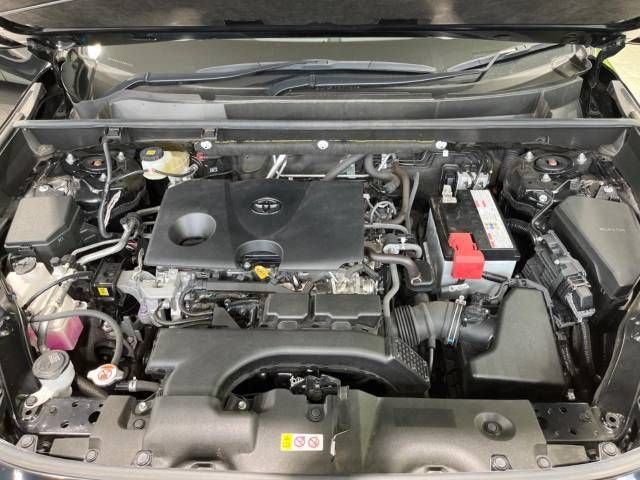 Toyota RAV4 2019-06 4434-18
