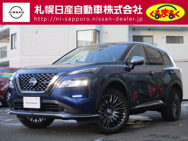 Nissan X-TRAIL 2022-12 196110-0