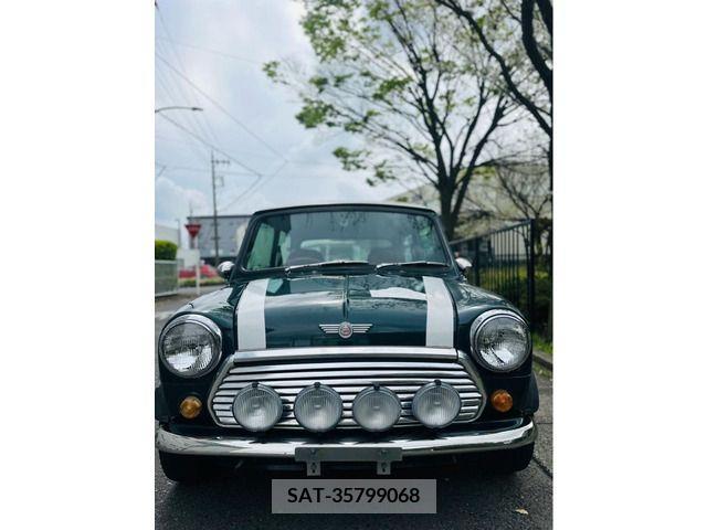 ROVER MINI 1995-02 234676-4