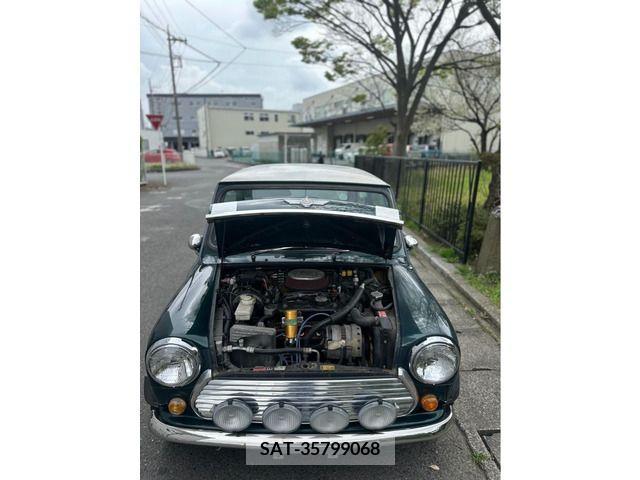 ROVER MINI 1995-02 234676-7