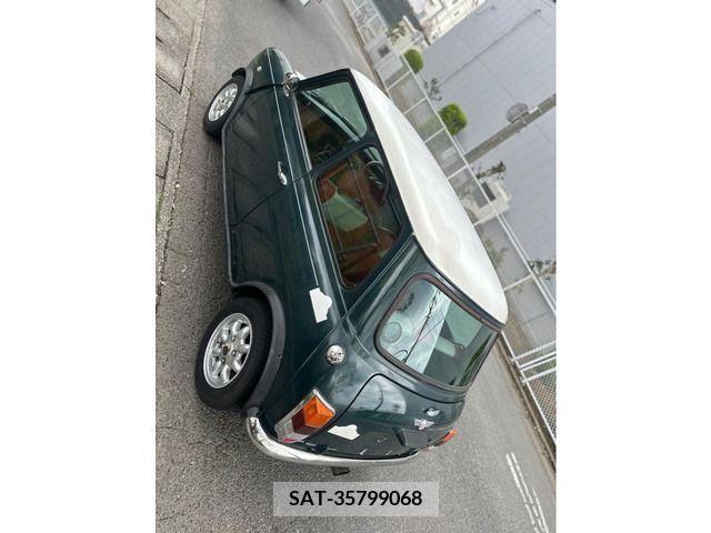 ROVER MINI 1995-02 234676-13