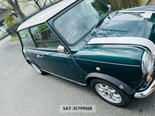 ROVER MINI 1995-02 234676-2