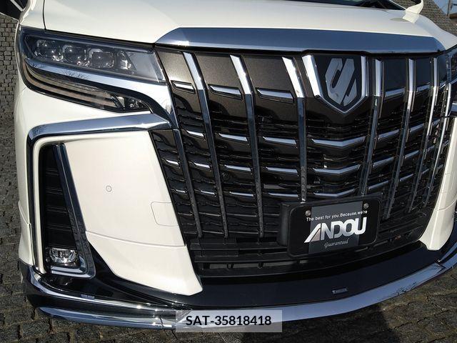 Toyota ALPHARD 2018-11 216690-5