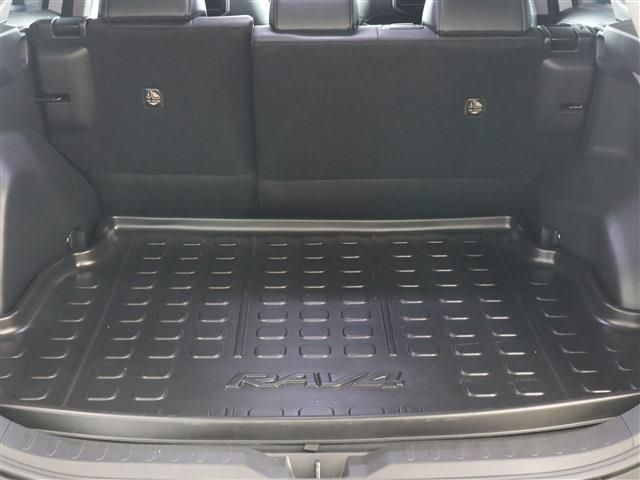 Toyota RAV4 2021-03 183865-17