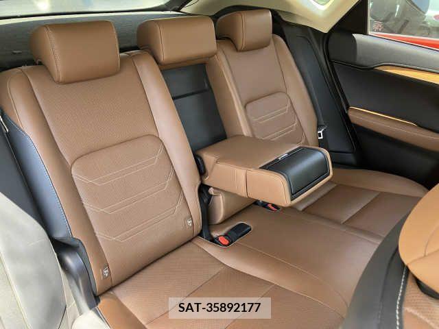Lexus NX 2016-03 275694-4