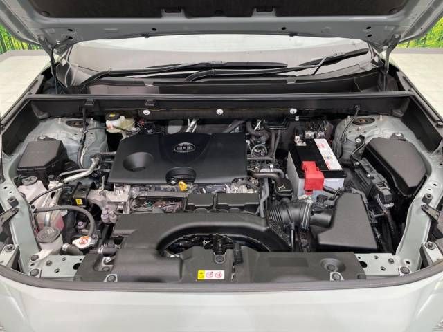 Toyota RAV4 2019-11 185377-18