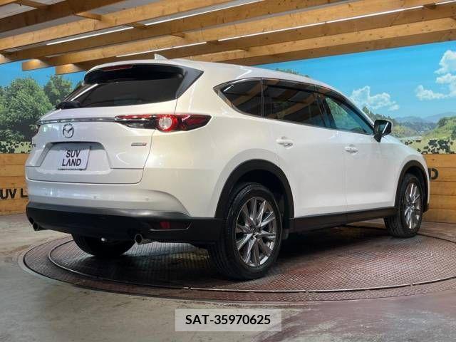 Mazda CX-8 2019-04 396262-18
