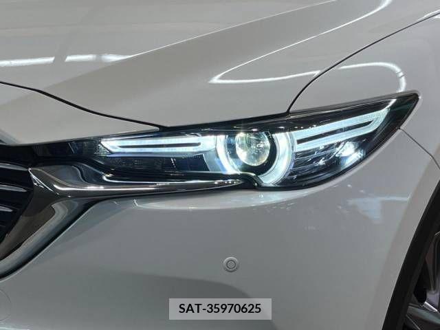 Mazda CX-8 2019-04 396262-13