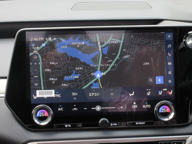 Lexus RX 2023-07 28422-26