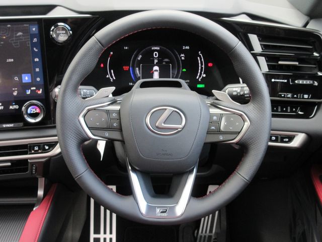 Lexus RX 2023-07 28422-22