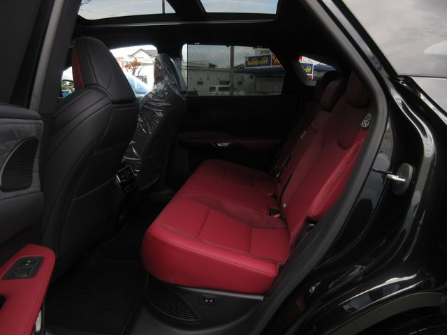 Lexus RX 2023-07 28422-16